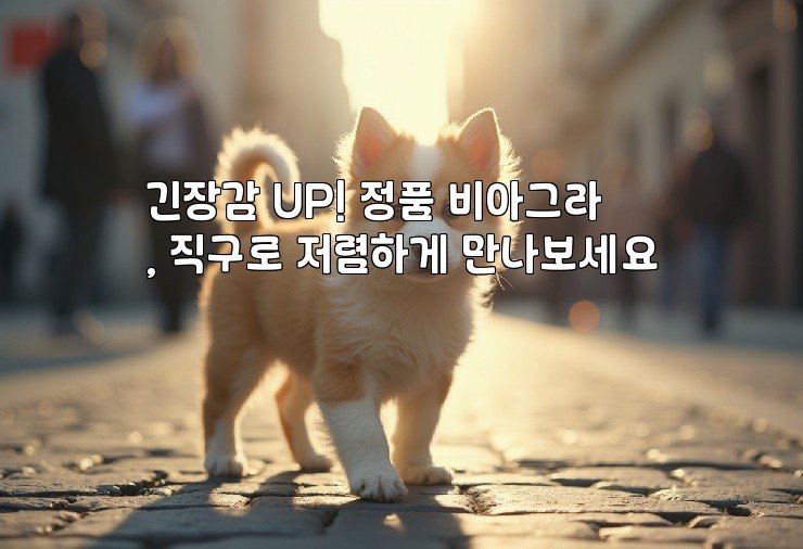 긴장감 UP! 정품 비아그라, 직구로 저렴하게 만나보세요