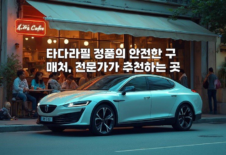 타다라필 정품의 안전한 구매처, 전문가가 추천하는 곳