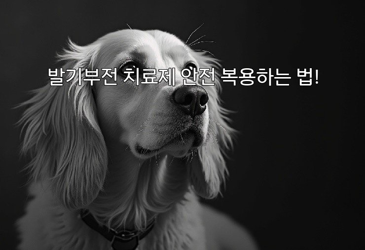 발기부전 치료제 안전 복용하는 법!