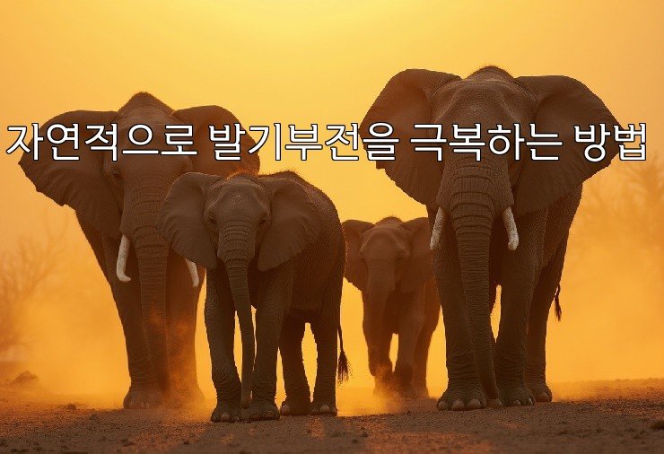 자연적으로 발기부전을 극복하는 방법 