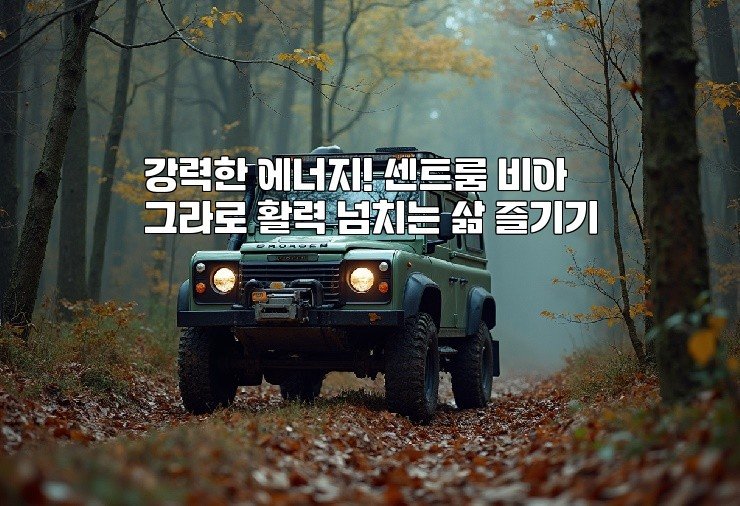 강력한 에너지! 센트룸 비아그라로 활력 넘치는 삶 즐기기