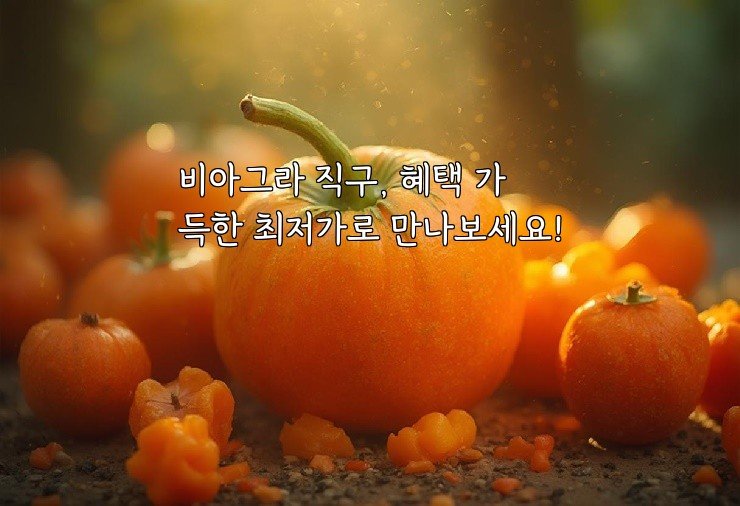 비아그라 직구, 혜택 가득한 최저가로 만나보세요!