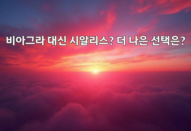 비아그라 대신 시알리스? 더 나은 선택은?