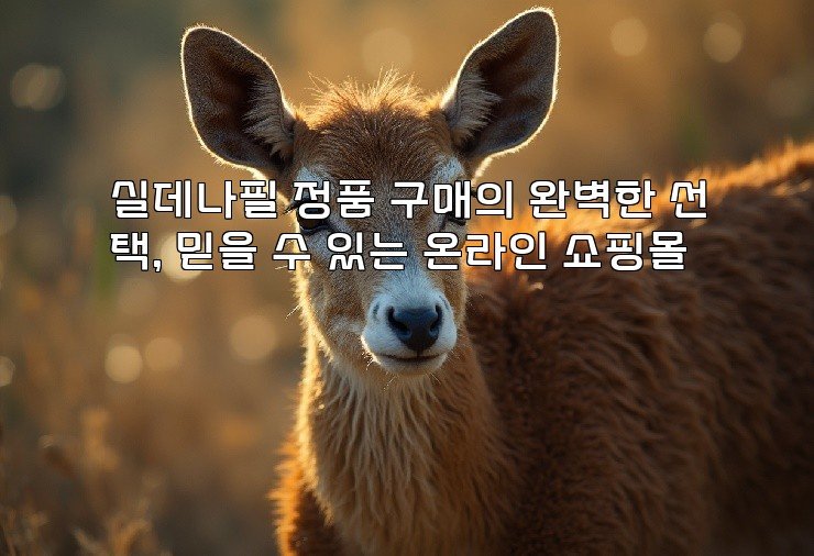 실데나필 정품 구매의 완벽한 선택, 믿을 수 있는 온라인 쇼핑몰