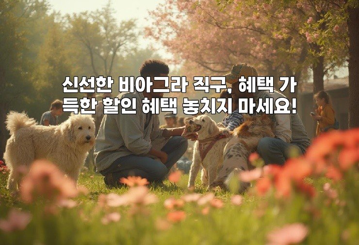 신선한 비아그라 직구, 혜택 가득한 할인 혜택 놓치지 마세요!
